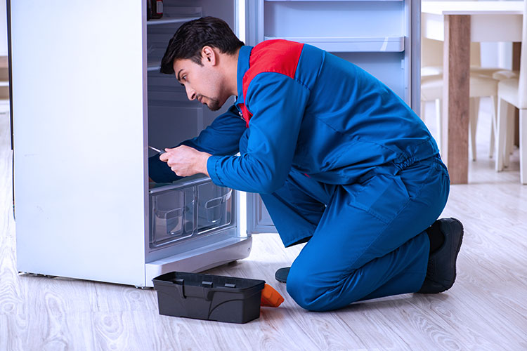 Fridge Repair Domalguda